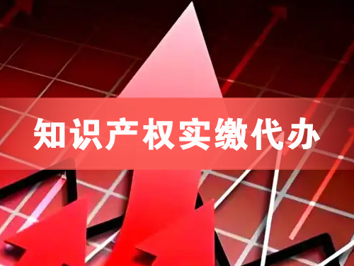 桐乡知识产权实缴资本代办